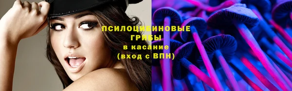 спиды Абинск