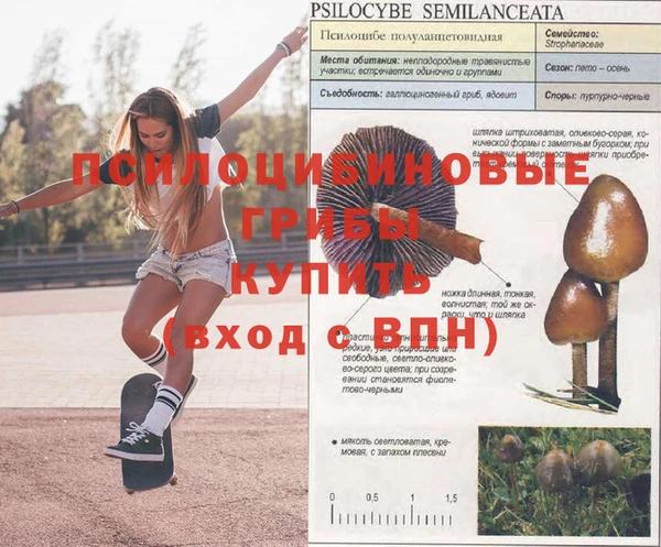 спиды Абинск