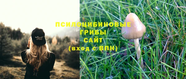 спиды Абинск