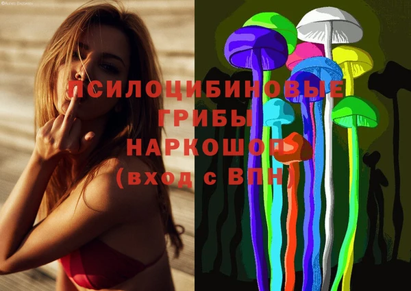 спиды Абинск
